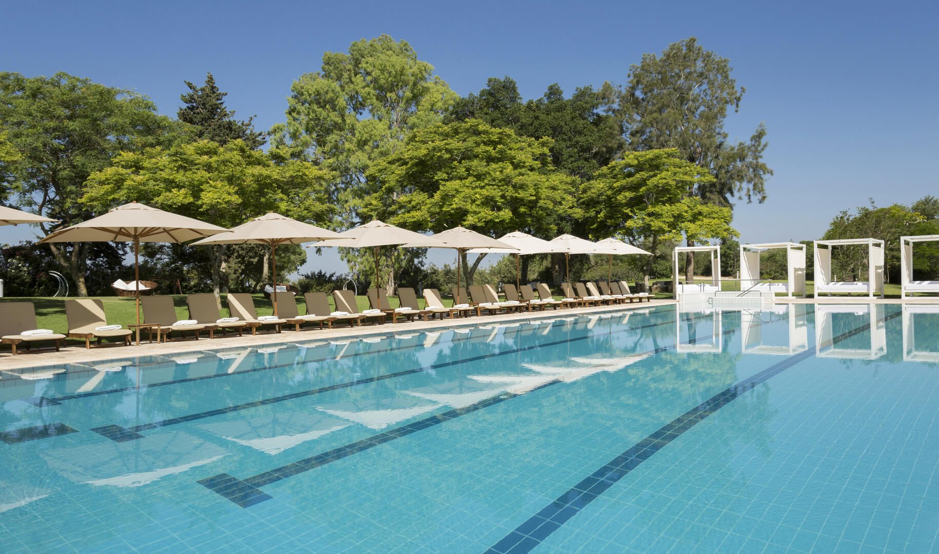 בריכה חיצונית - ספא יערות הכרמל חיפה