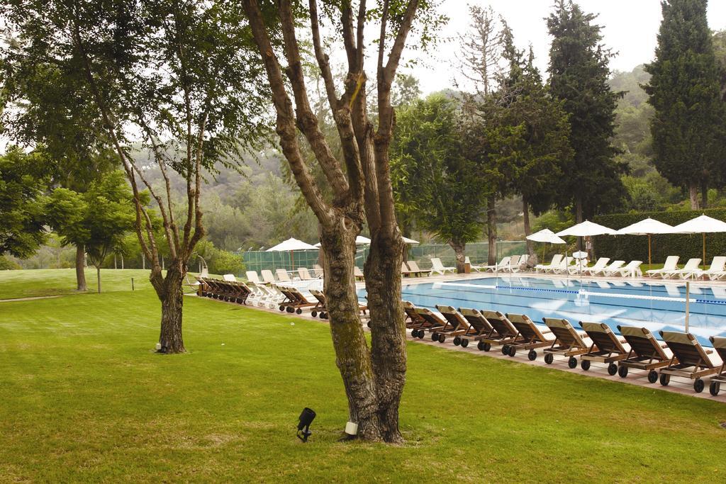 בריכה חיצונית - ספא יערות הכרמל חיפה