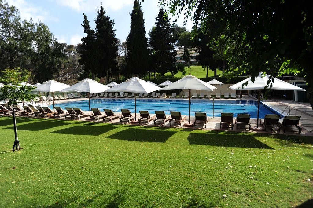 בריכה חיצונית - ספא יערות הכרמל חיפה