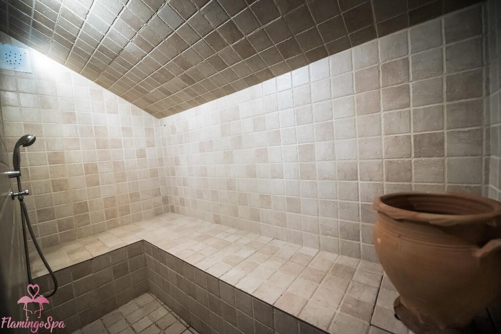 סאונה - ספא פלמינגו