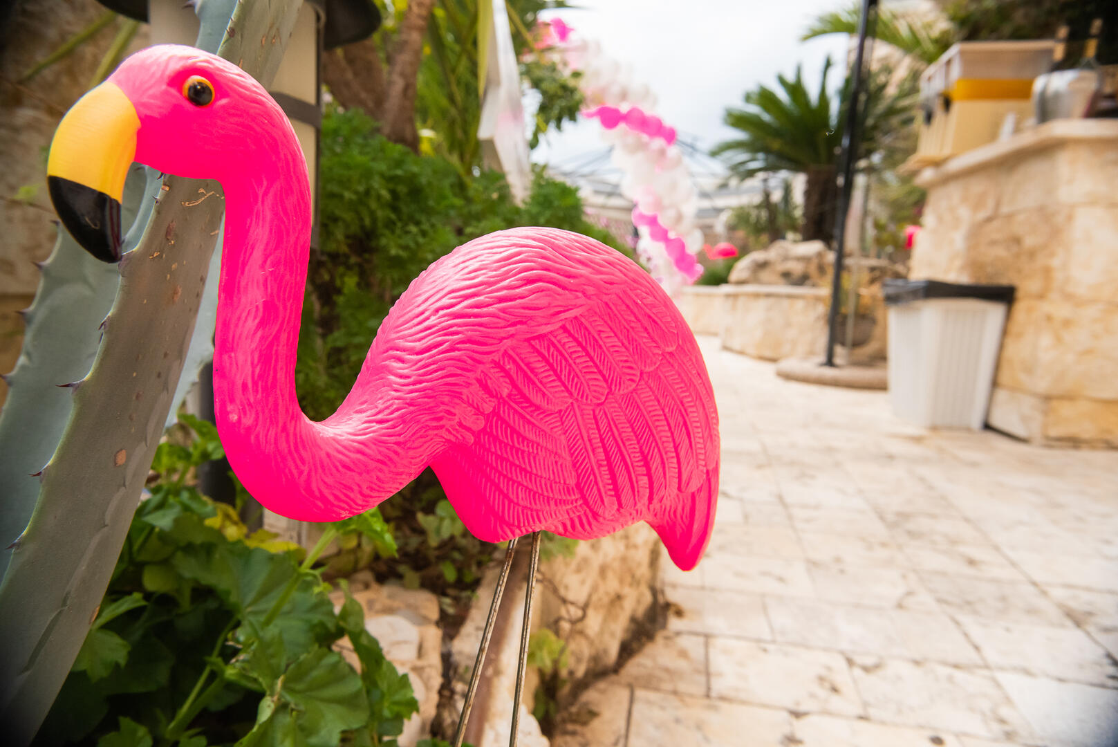 עיצוב הספא - ספא פלמינגו