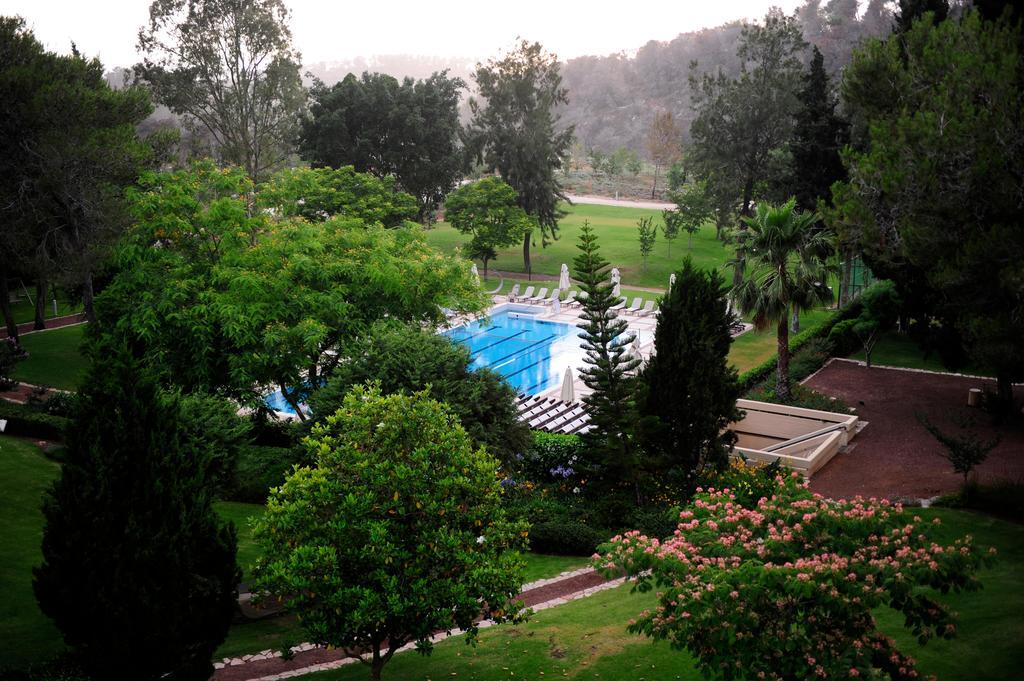 בריכה חיצונית - ספא יערות הכרמל חיפה