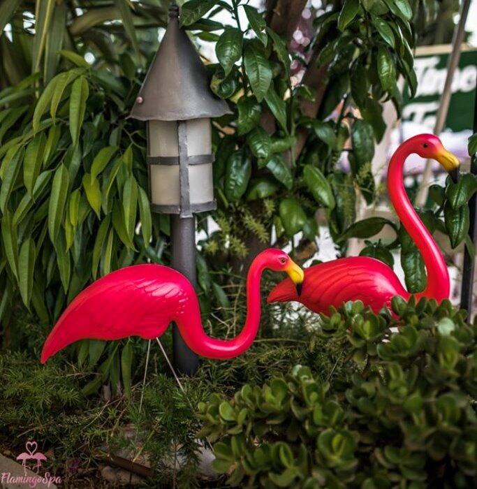 עיצוב הספא - ספא פלמינגו