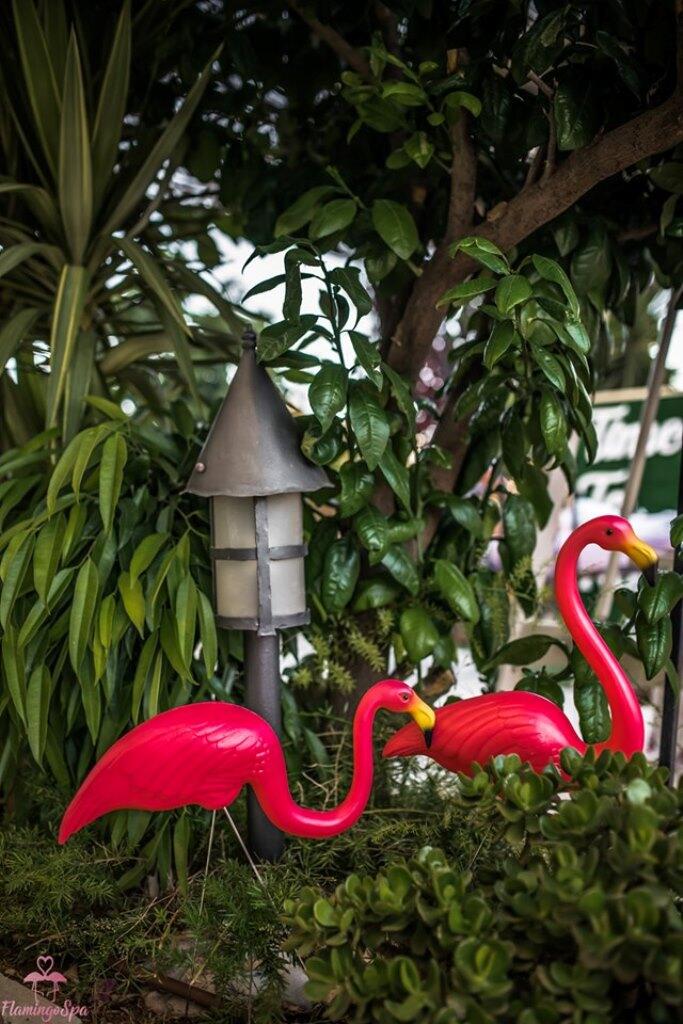 עיצוב הספא - ספא פלמינגו