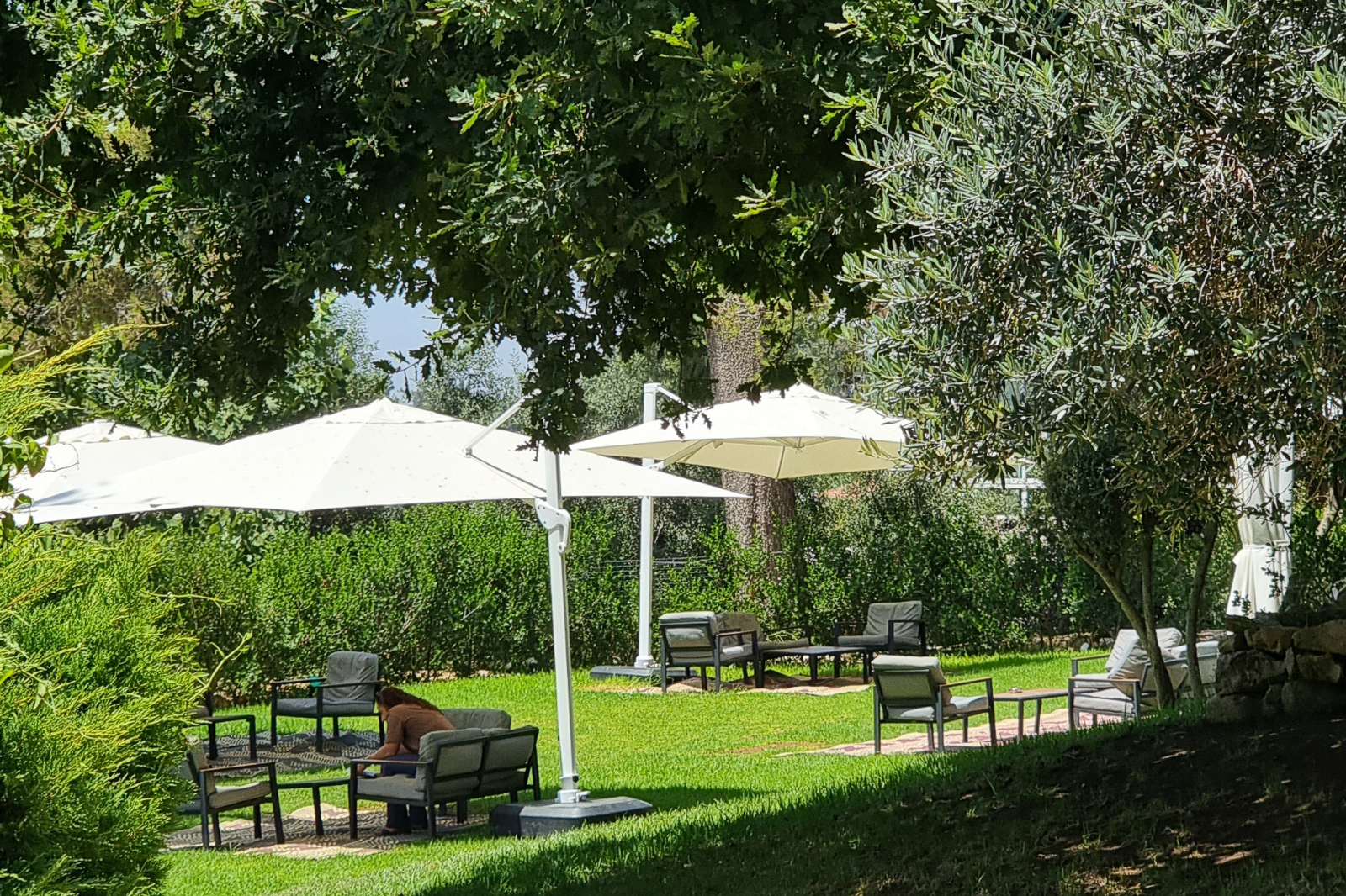 גינה חיצונית מוקפצת ירוק -  ספא לוטוס במלון יערים מעלה החמישה