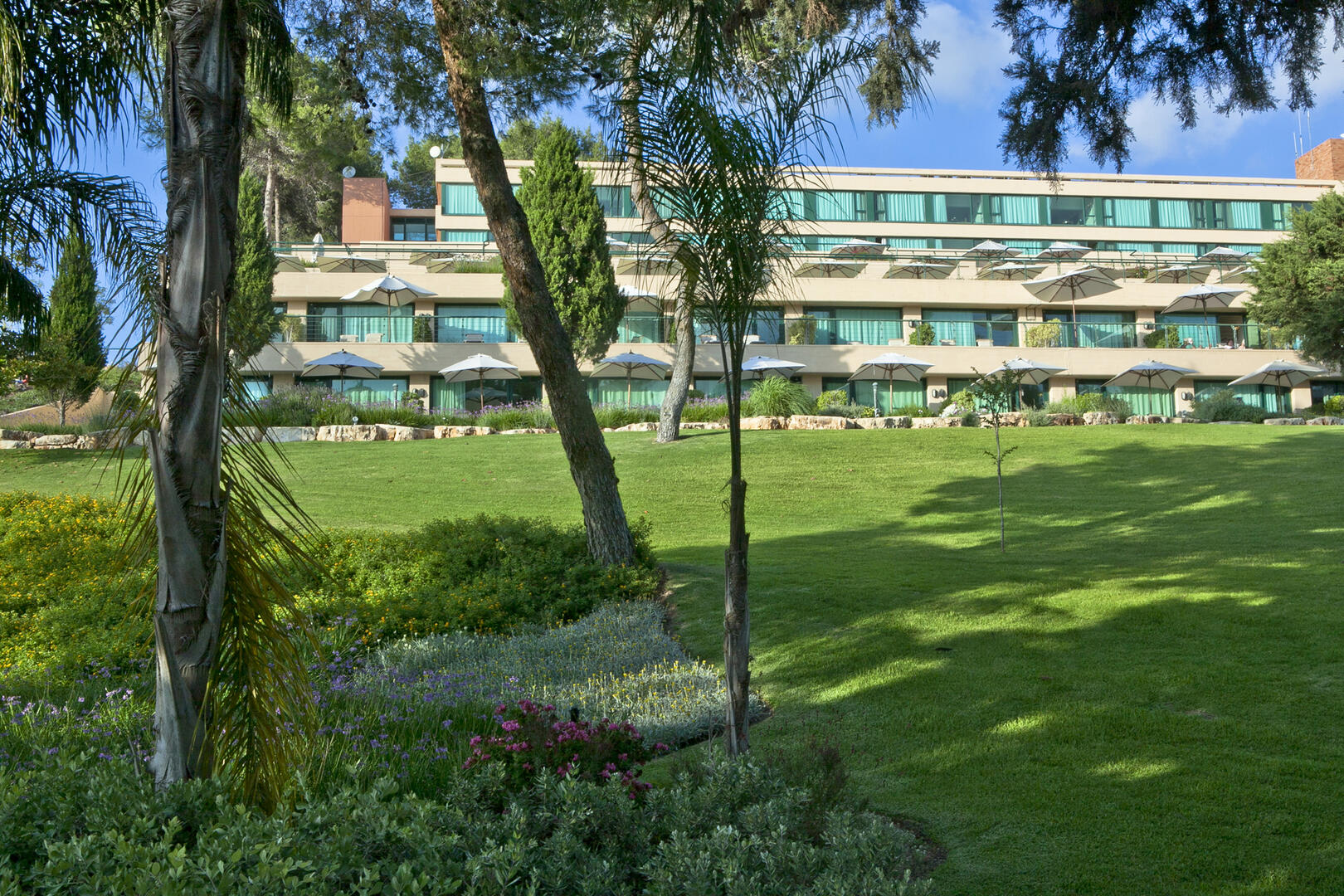 מדשאות סביב המלון - ספא יערות הכרמל חיפה