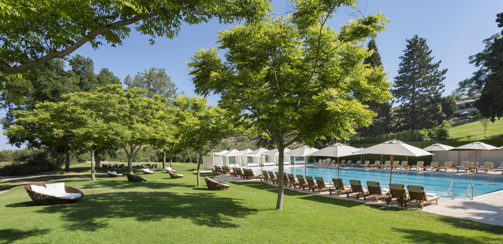 בריכה חיצונית - ספא יערות הכרמל חיפה