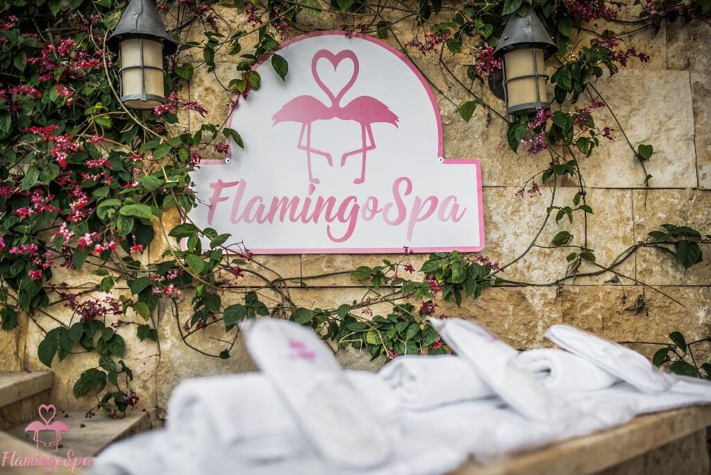 כניסה לספא - ספא פלמינגו