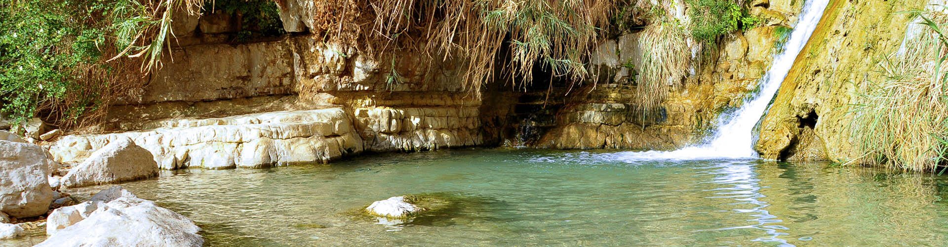 נחל - ספא סינרגיה